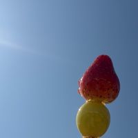 オリジナル楽曲 - ノコノコになりたい