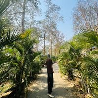 samrat_belbase