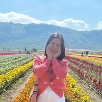 rabbitpink206