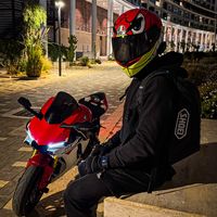 le_loup_r1