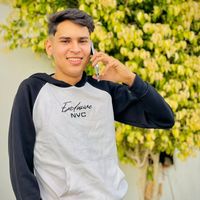 الصوت الأصلي