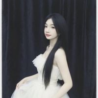 yang.xin2003