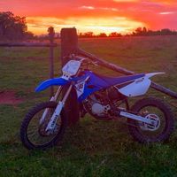 harvey_rogers26