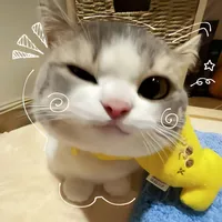 original sound - kyalsinthoon201