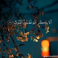 elham.mohamed89