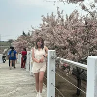 original sound - aymei1023