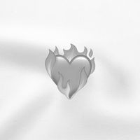 nobd_hels