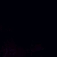 xdmra60