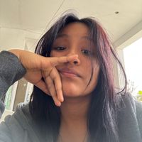 aricarrizaless