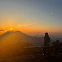 shikshya_99