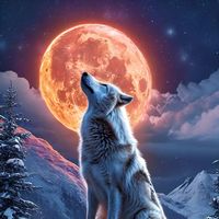 original sound - Unknown(SOLO)💫💦