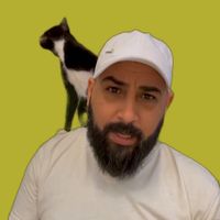 hamshary.cat