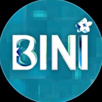 bini_ph247