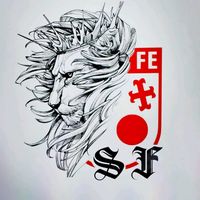 sf_hinchada