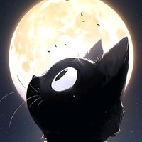 luna_spg