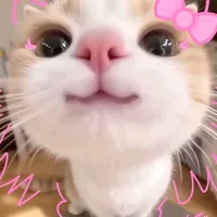 original sound - cayacay123