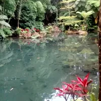 original sound - deannn235