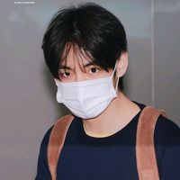 suara asli - kim taehyung can🐯