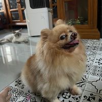 chad_cha1113