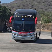 almas_gemelas_502