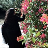 amira_505a