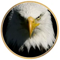 original sound - massa_frases