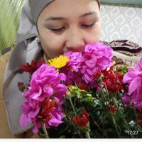 baer_gul