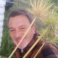 original sound - marval_oficial