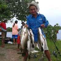 เสียงต้นฉบับ - SooD!!️ YoD 👍