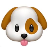 kk_bowwow