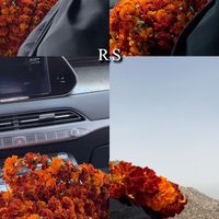 queen_rs14