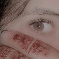 itx_kashmiri365