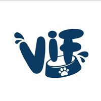 viffc_official
