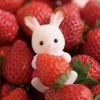 オリジナル楽曲 - 🍓