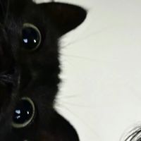 original sound - somo_o.26