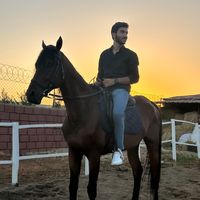 wael_helaly