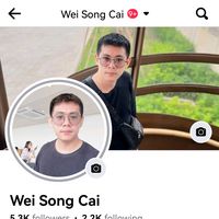 original sound - Wei Song Cai