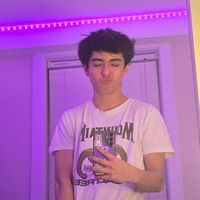 bagless16