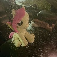 suara asli - ᴄᴇʟ? || 😼