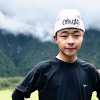 mepham_wangp0