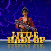 littlehadiop1