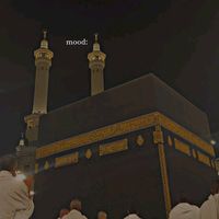 iamamuslim238