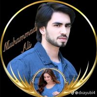 ali__02043