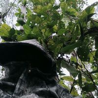 not_20041