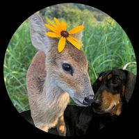 오리지널 사운드 - 동키_라니