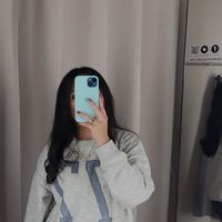 pao.sln