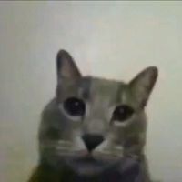 user1937108173729