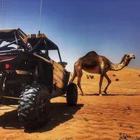 original sound - your.username.here