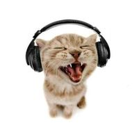 todas_las_iniciales0