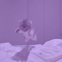 mb_mili